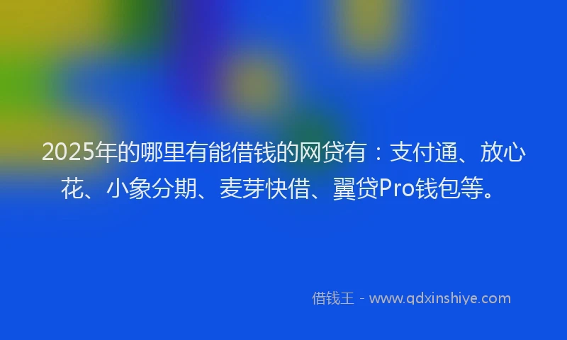 2025年的哪里有能借钱的网贷有：支付通、放心花、小象分期、麦芽快借、翼贷Pro钱包等。
