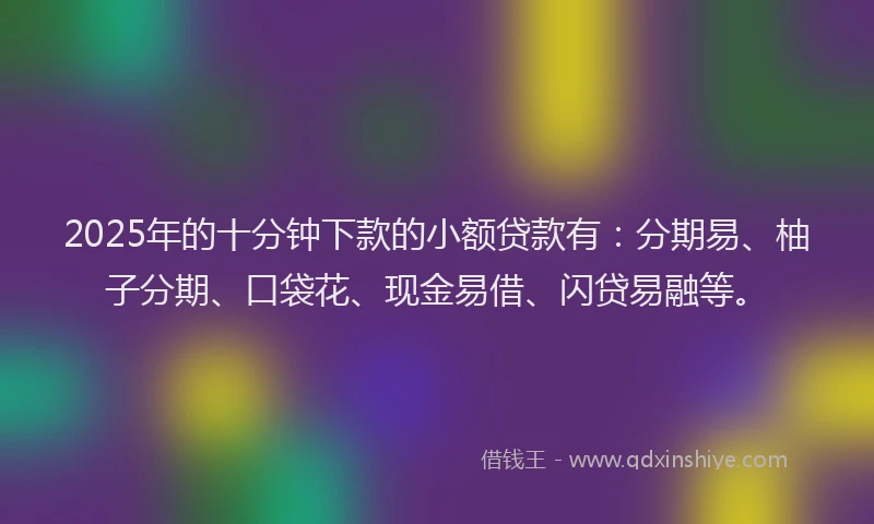 2025年的十分钟下款的小额贷款有：分期易、柚子分期、口袋花、现金易借、闪贷易融等。