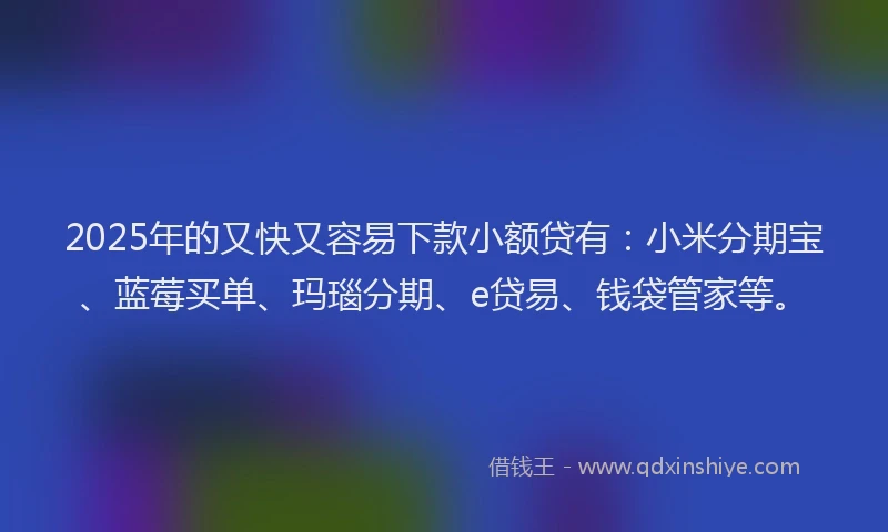 2025年的又快又容易下款小额贷有：小米分期宝、蓝莓买单、玛瑙分期、e贷易、钱袋管家等。
