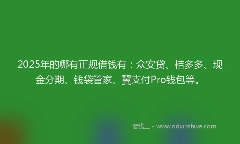 2025年的哪有正规借钱有：众安贷、桔多多、现金分期、钱袋管家、翼支付Pro钱包等。