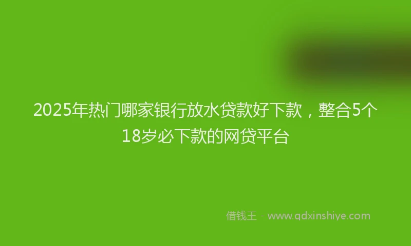 2025年热门哪家银行放水贷款好下款，整合5个18岁必下款的网贷平台