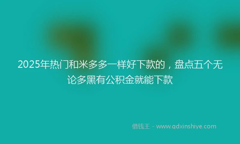 2025年热门和米多多一样好下款的，盘点五个无论多黑有公积金就能下款