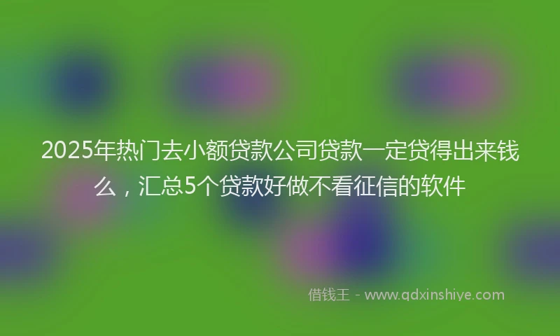2025年热门去小额贷款公司贷款一定贷得出来钱么，汇总5个贷款好做不看征信的软件