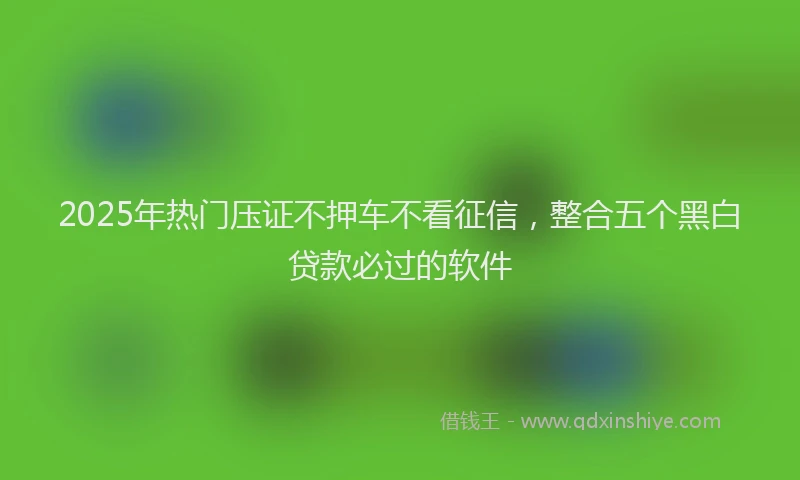 2025年热门压证不押车不看征信，整合五个黑白贷款必过的软件