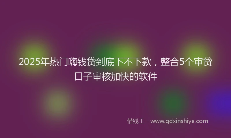 2025年热门嗨钱贷到底下不下款，整合5个审贷口子审核加快的软件