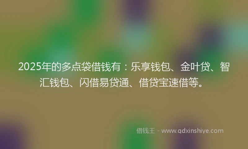 2025年的多点袋借钱有：乐享钱包、金叶贷、智汇钱包、闪借易贷通、借贷宝速借等。