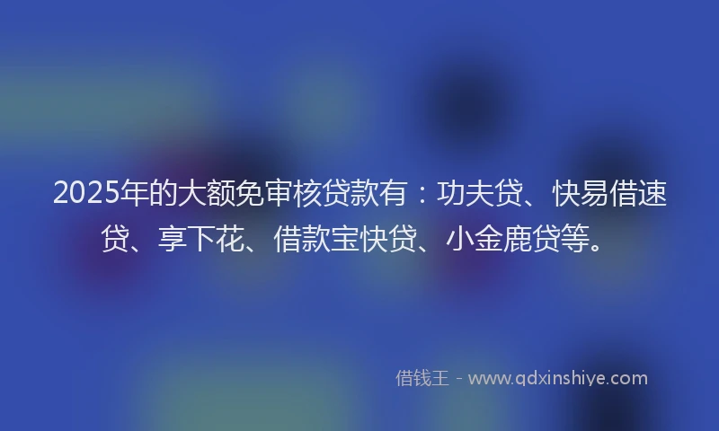 2025年的大额免审核贷款有：功夫贷、快易借速贷、享下花、借款宝快贷、小金鹿贷等。