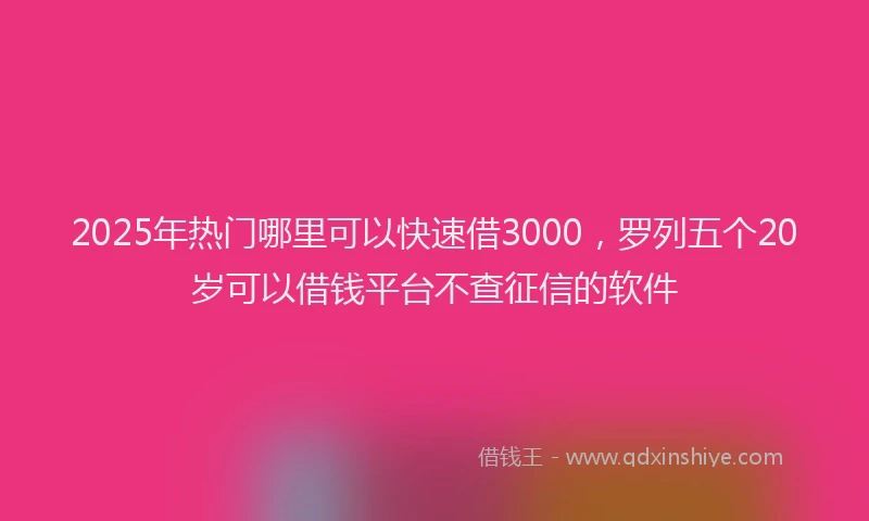 2025年热门哪里可以快速借3000，罗列五个20岁可以借钱平台不查征信的软件