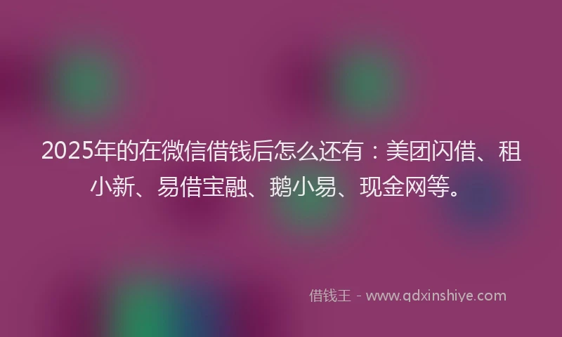 2025年的在微信借钱后怎么还有：美团闪借、租小新、易借宝融、鹅小易、现金网等。