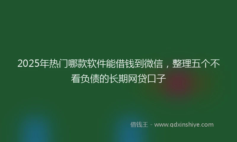 2025年热门哪款软件能借钱到微信，整理五个不看负债的长期网贷口子