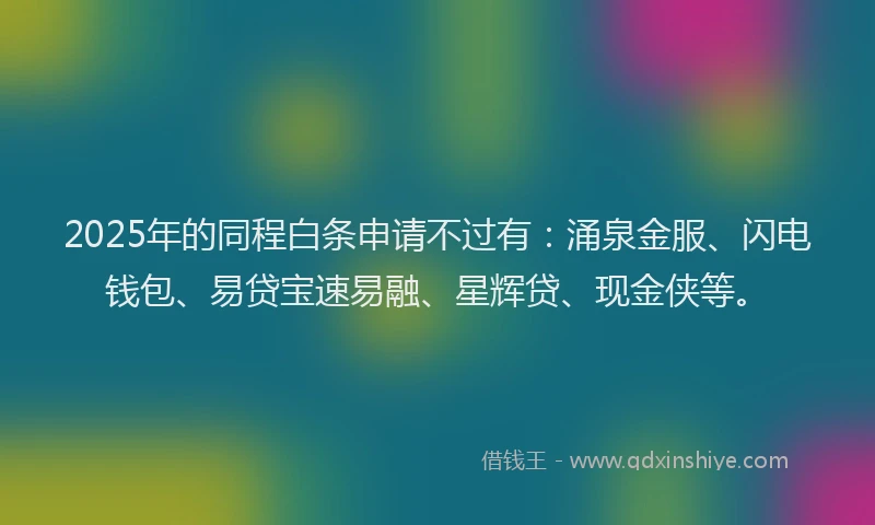 2025年的同程白条申请不过有：涌泉金服、闪电钱包、易贷宝速易融、星辉贷、现金侠等。