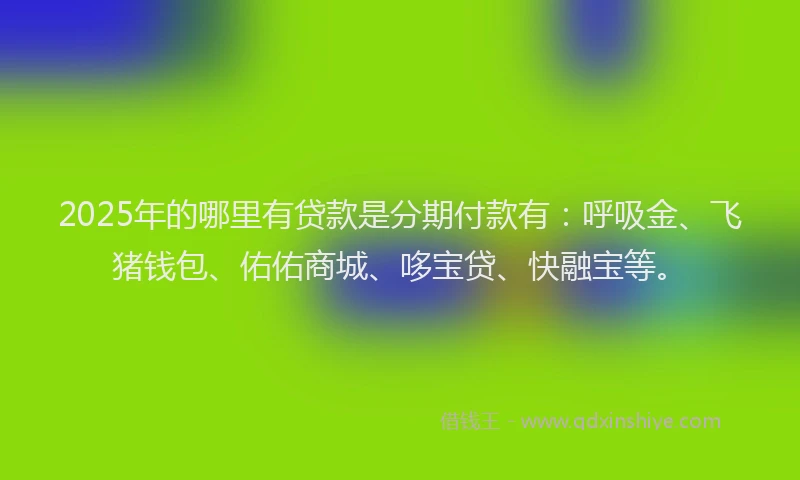 2025年的哪里有贷款是分期付款有：呼吸金、飞猪钱包、佑佑商城、哆宝贷、快融宝等。