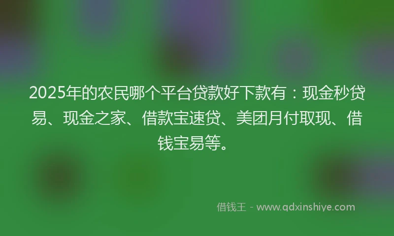 2025年的农民哪个平台贷款好下款有：现金秒贷易、现金之家、借款宝速贷、美团月付取现、借钱宝易等。