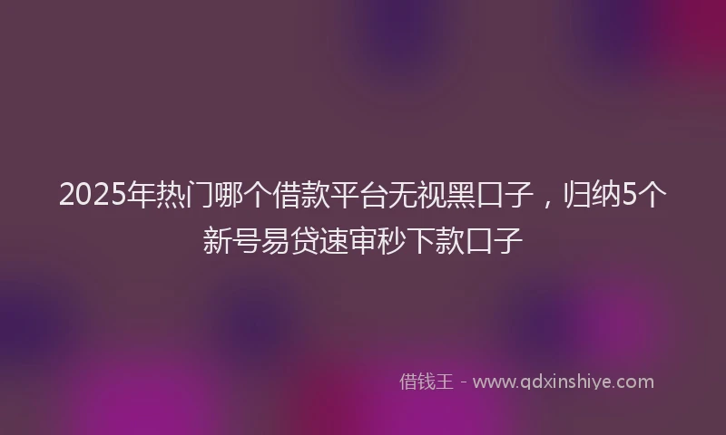 2025年热门哪个借款平台无视黑口子，归纳5个新号易贷速审秒下款口子