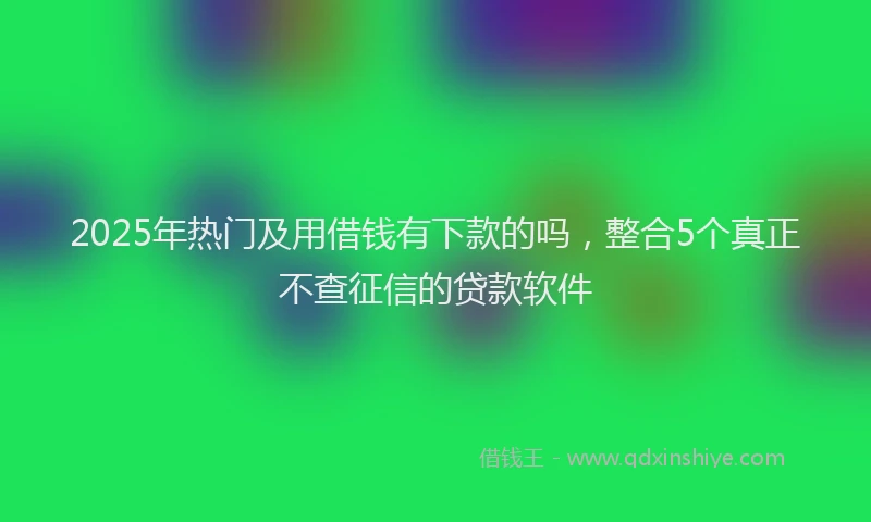 2025年热门及用借钱有下款的吗，整合5个真正不查征信的贷款软件