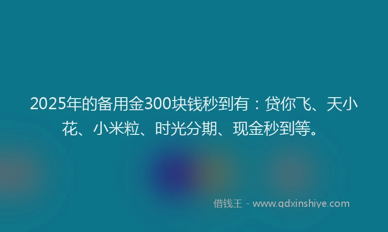 2025年的备用金300块钱秒到有：贷你飞、天小花、小米粒、时光分期、现金秒到等。