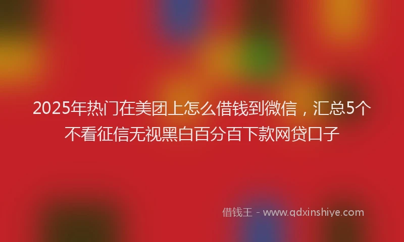 2025年热门在美团上怎么借钱到微信，汇总5个不看征信无视黑白百分百下款网贷口子