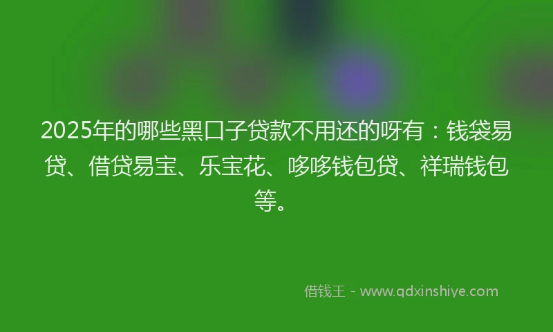 2025年的哪些黑口子贷款不用还的呀有：钱袋易贷、借贷易宝、乐宝花、哆哆钱包贷、祥瑞钱包等。
