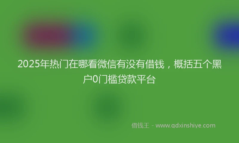 2025年热门在哪看微信有没有借钱，概括五个黑户0门槛贷款平台