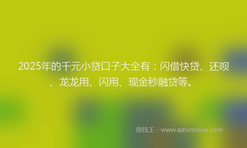 2025年的千元小贷口子大全有：闪借快贷、还呗、龙龙用、闪用、现金秒融贷等。