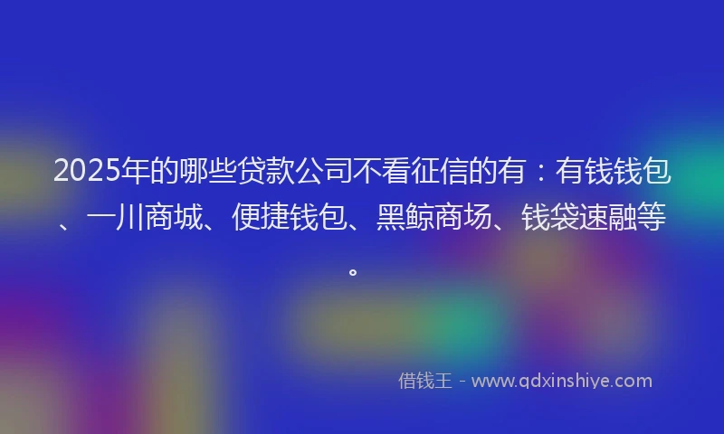 2025年的哪些贷款公司不看征信的有：有钱钱包、一川商城、便捷钱包、黑鲸商场、钱袋速融等。