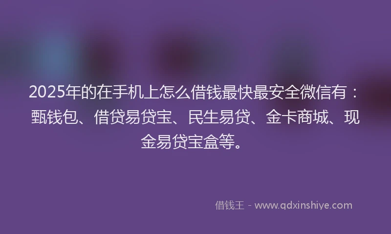 2025年的在手机上怎么借钱最快最安全微信有：甄钱包、借贷易贷宝、民生易贷、金卡商城、现金易贷宝盒等。