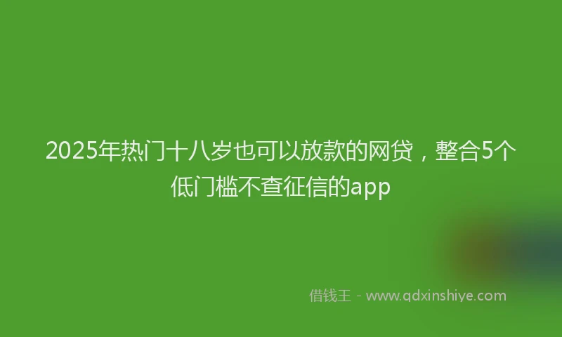 2025年热门十八岁也可以放款的网贷，整合5个低门槛不查征信的app