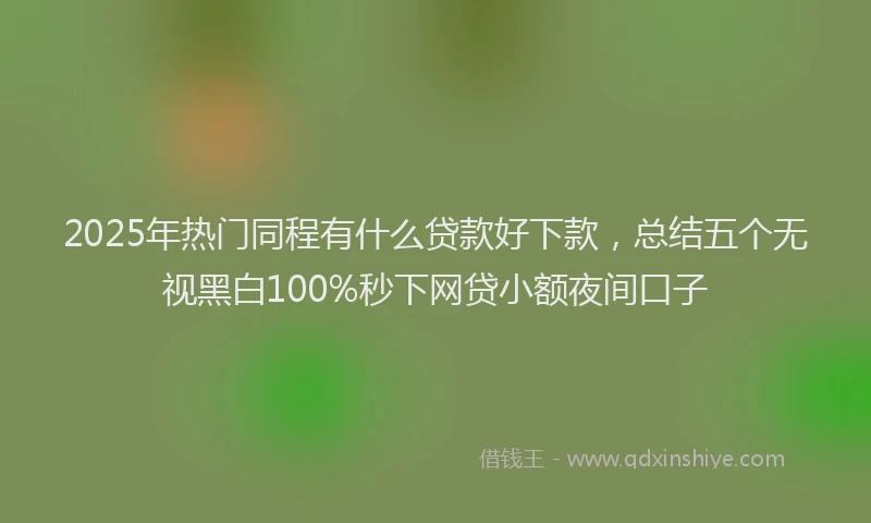 2025年热门同程有什么贷款好下款，总结五个无视黑白100%秒下网贷小额夜间口子
