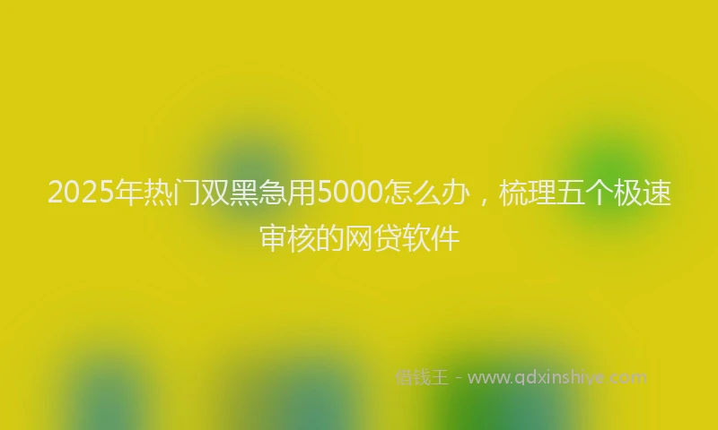 2025年热门双黑急用5000怎么办，梳理五个极速审核的网贷软件