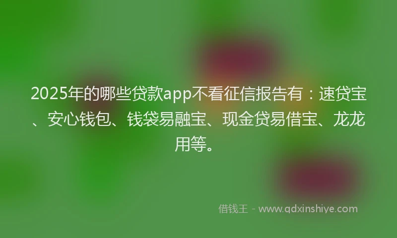 2025年的哪些贷款app不看征信报告有：速贷宝、安心钱包、钱袋易融宝、现金贷易借宝、龙龙用等。