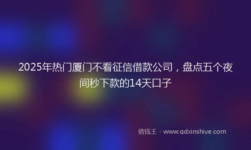 2025年热门厦门不看征信借款公司，盘点五个夜间秒下款的14天口子