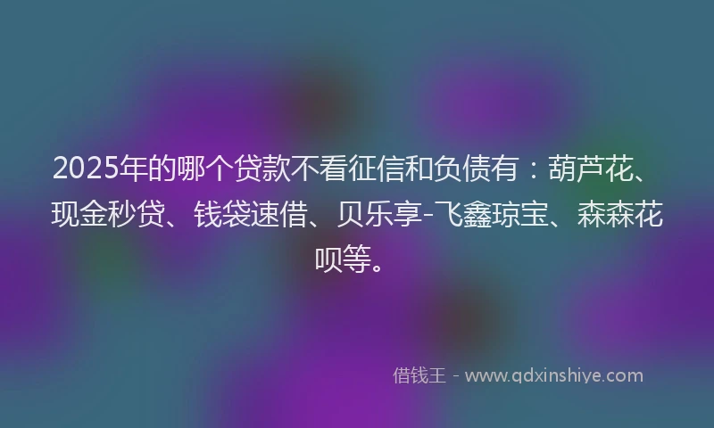 2025年的哪个贷款不看征信和负债有：葫芦花、现金秒贷、钱袋速借、贝乐享-飞鑫琼宝、森森花呗等。
