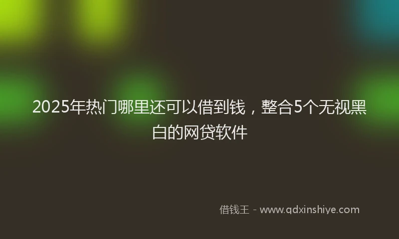 2025年热门哪里还可以借到钱，整合5个无视黑白的网贷软件