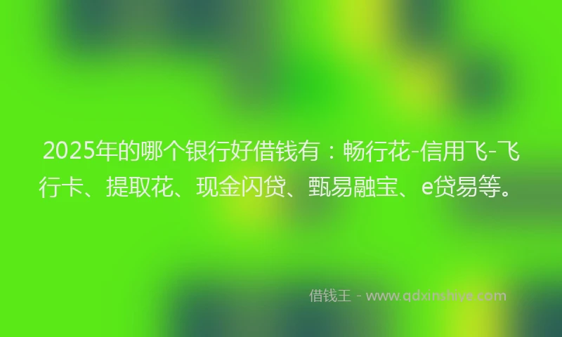 2025年的哪个银行好借钱有：畅行花-信用飞-飞行卡、提取花、现金闪贷、甄易融宝、e贷易等。