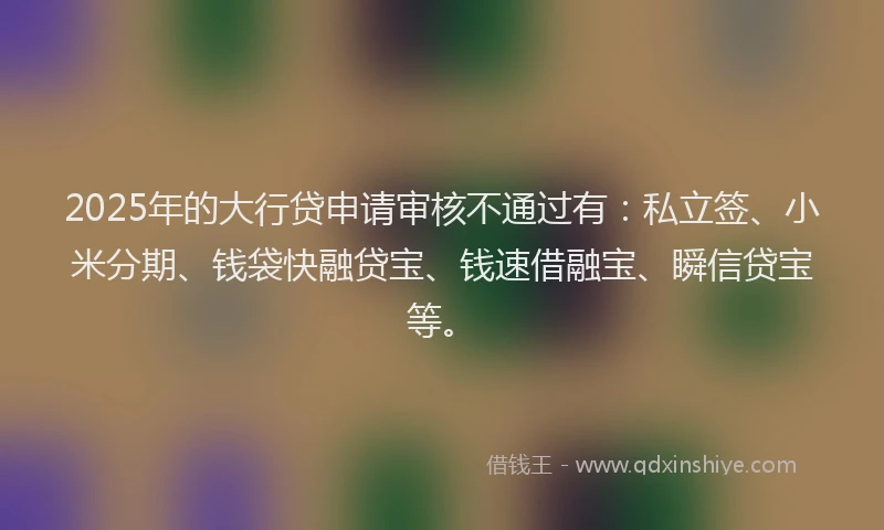 2025年的大行贷申请审核不通过有：私立签、小米分期、钱袋快融贷宝、钱速借融宝、瞬信贷宝等。