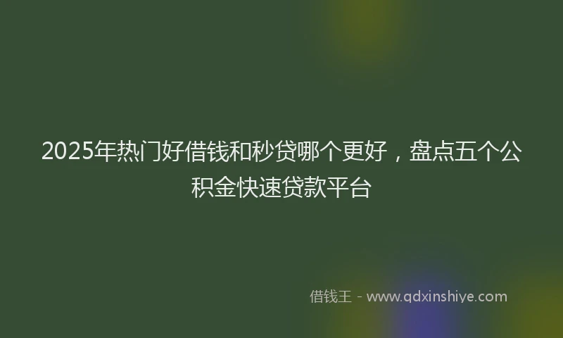 2025年热门好借钱和秒贷哪个更好，盘点五个公积金快速贷款平台