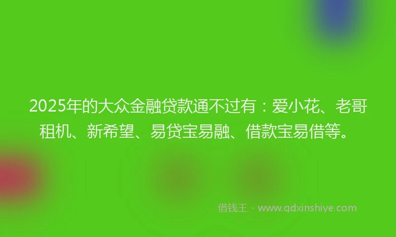 2025年的大众金融贷款通不过有：爱小花、老哥租机、新希望、易贷宝易融、借款宝易借等。