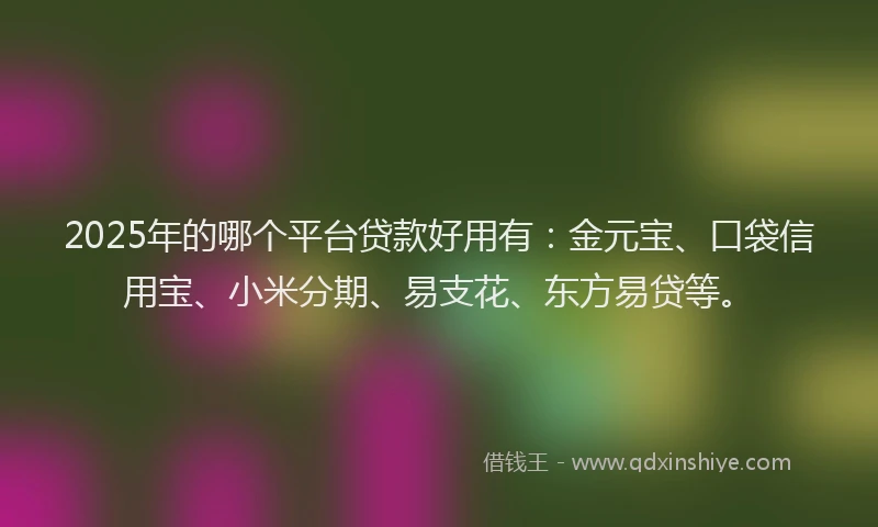 2025年的哪个平台贷款好用有：金元宝、口袋信用宝、小米分期、易支花、东方易贷等。