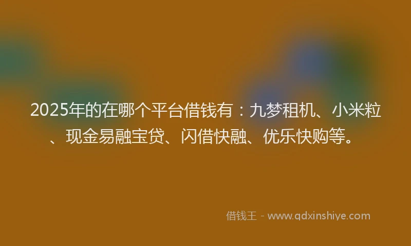 2025年的在哪个平台借钱有：九梦租机、小米粒、现金易融宝贷、闪借快融、优乐快购等。
