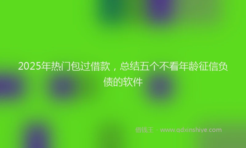 2025年热门包过借款，总结五个不看年龄征信负债的软件