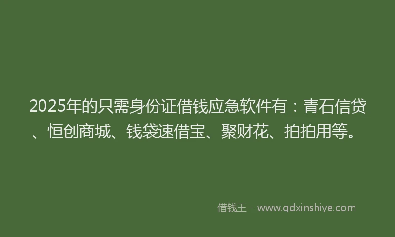 2025年的只需身份证借钱应急软件有:青石信贷、恒创商城、钱袋速借宝、聚财花、拍拍用等。