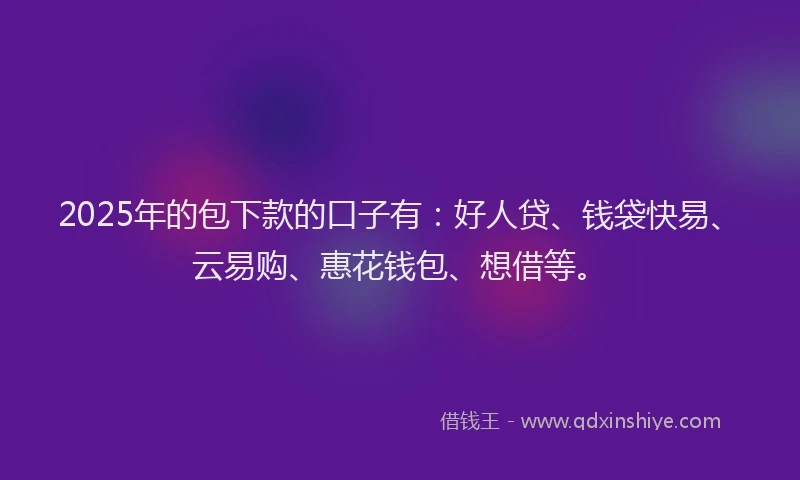 2025年的包下款的口子有：好人贷、钱袋快易、云易购、惠花钱包、想借等。