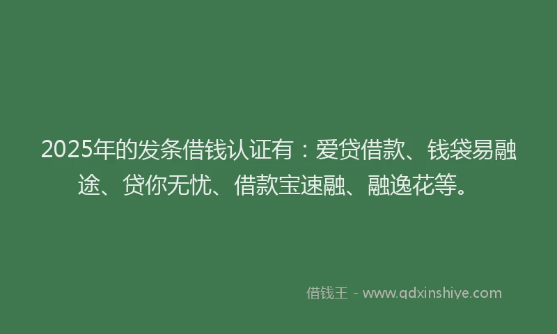 2025年的发条借钱认证有：爱贷借款、钱袋易融途、贷你无忧、借款宝速融、融逸花等。