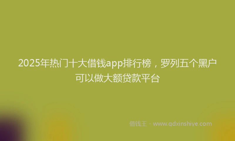 2025年热门十大借钱app排行榜，罗列五个黑户可以做大额贷款平台