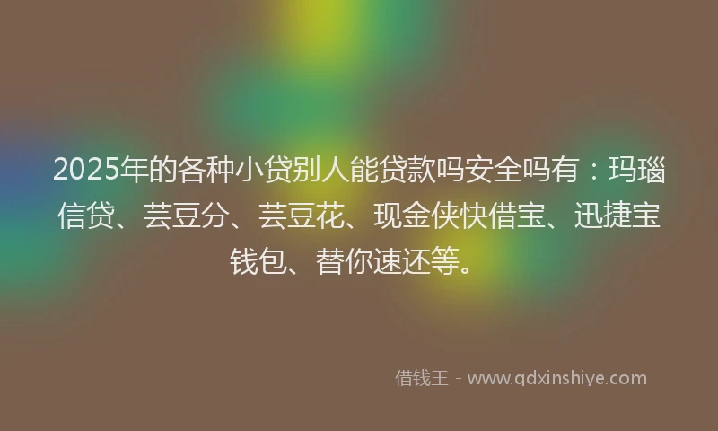 2025年的各种小贷别人能贷款吗安全吗有：玛瑙信贷、芸豆分、芸豆花、现金侠快借宝、迅捷宝钱包、替你速还等。