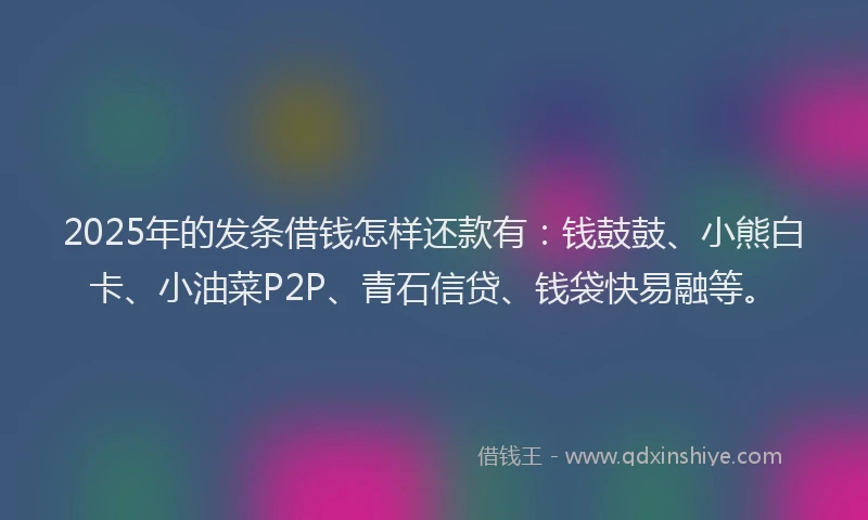 2025年的发条借钱怎样还款有：钱鼓鼓、小熊白卡、小油菜P2P、青石信贷、钱袋快易融等。