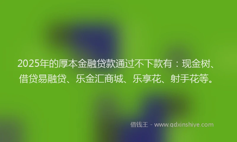 2025年的厚本金融贷款通过不下款有：现金树、借贷易融贷、乐金汇商城、乐享花、射手花等。