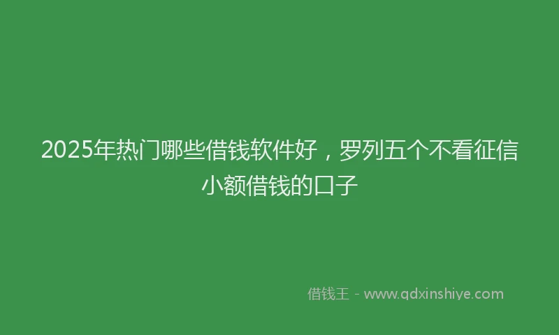 2025年热门哪些借钱软件好，罗列五个不看征信小额借钱的口子