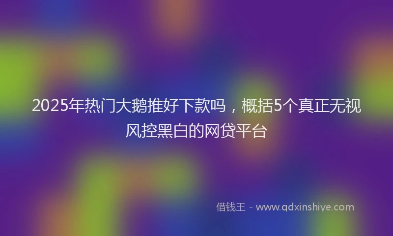 2025年热门大鹅推好下款吗，概括5个真正无视风控黑白的网贷平台