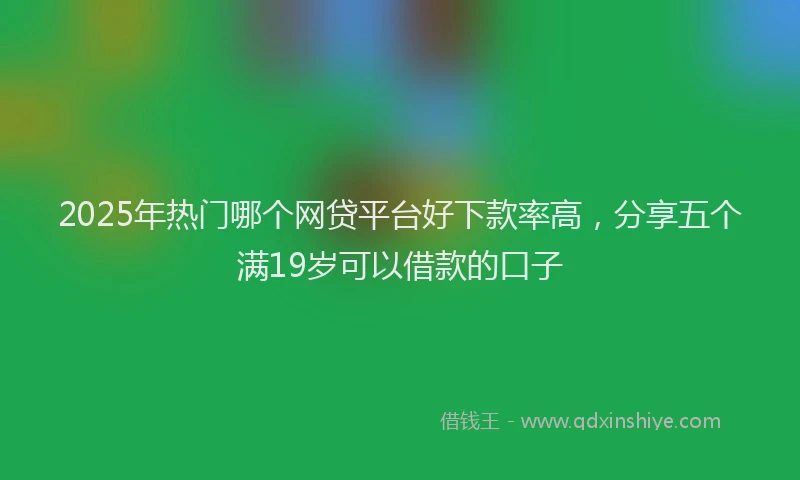 2025年热门哪个网贷平台好下款率高，分享五个满19岁可以借款的口子